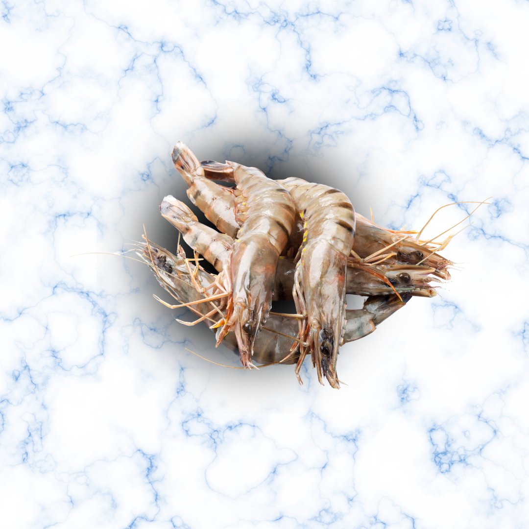 Gambas crues Sauvages 20/30