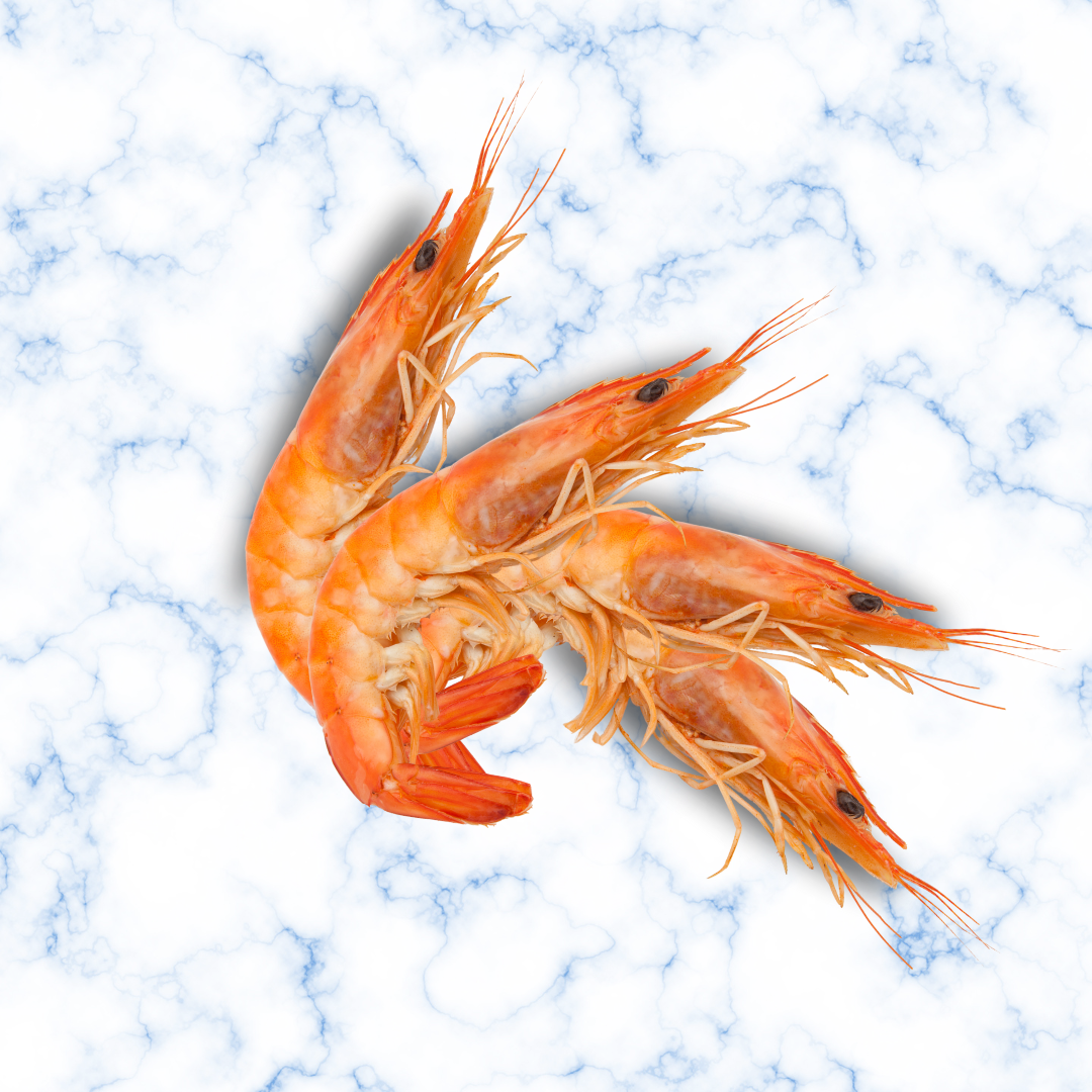 Crevettes Equateur 25/35