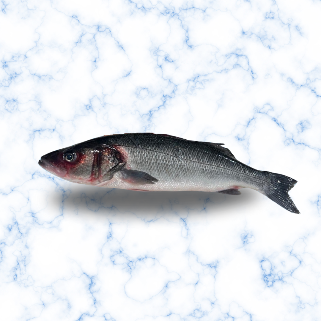 Loup Élevage Français 6/800 G