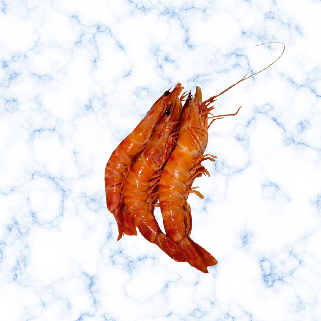 Gambas cuite sauvages 10/15