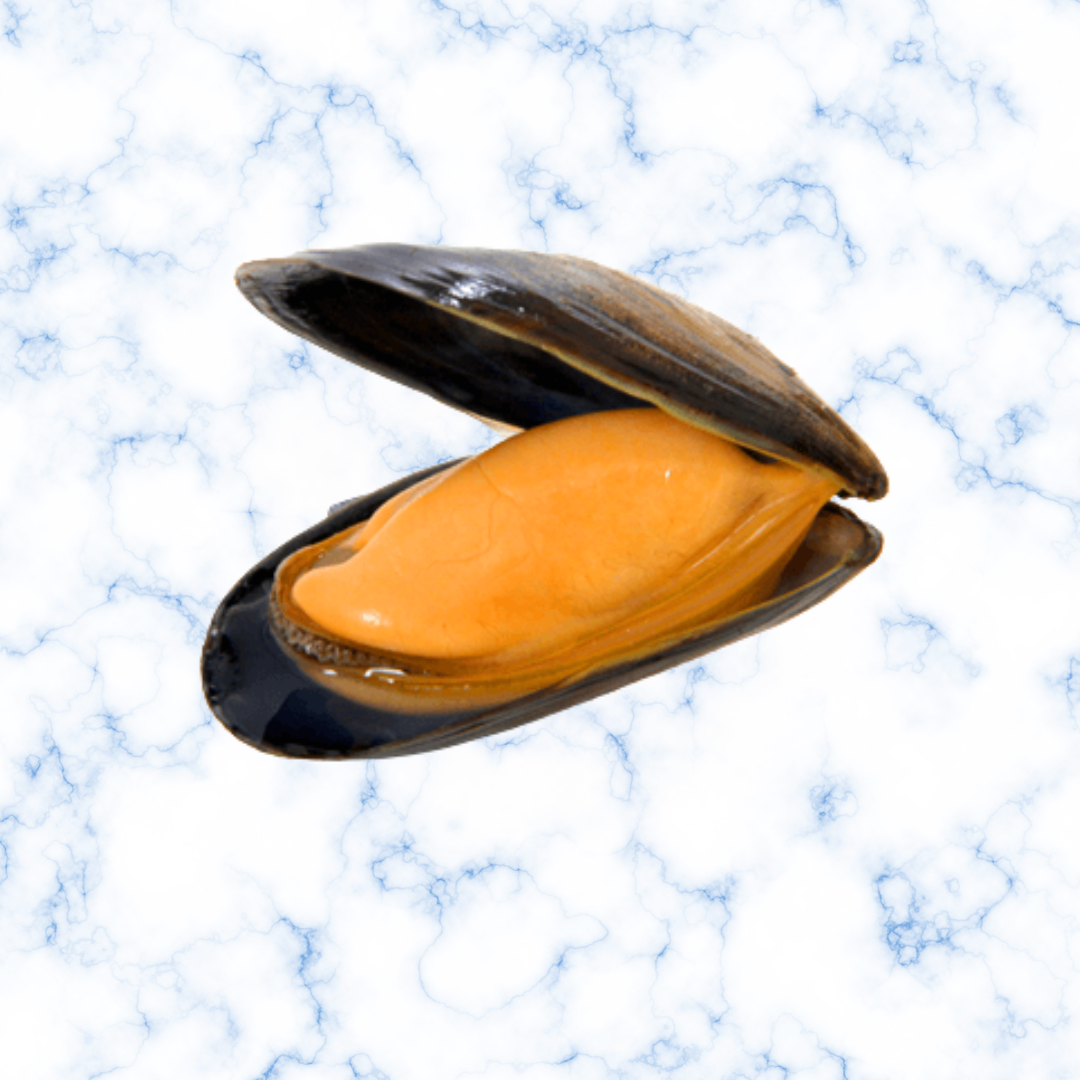 Moules Espagne