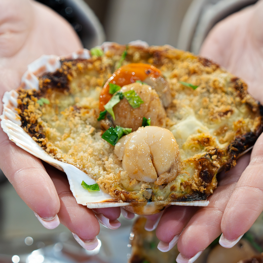 Coquille Saint Jacques gratinée